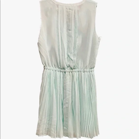 🌱NWOT VS Chiffon Dress - Picture 2 of 5